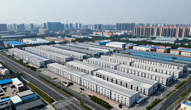 信息查询中忽略检查要点影响结果